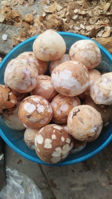 Dầu dừa nấu thủ công rất thơm lọ 100ml