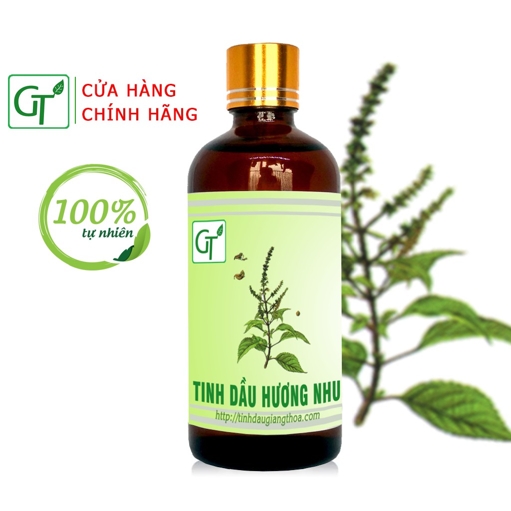 Tinh Dầu Hương Nhu Nguyên Chất 100ml - Chăm Sóc Tóc, Giảm Rụng Tóc - [HÀNG CAO CẤP]