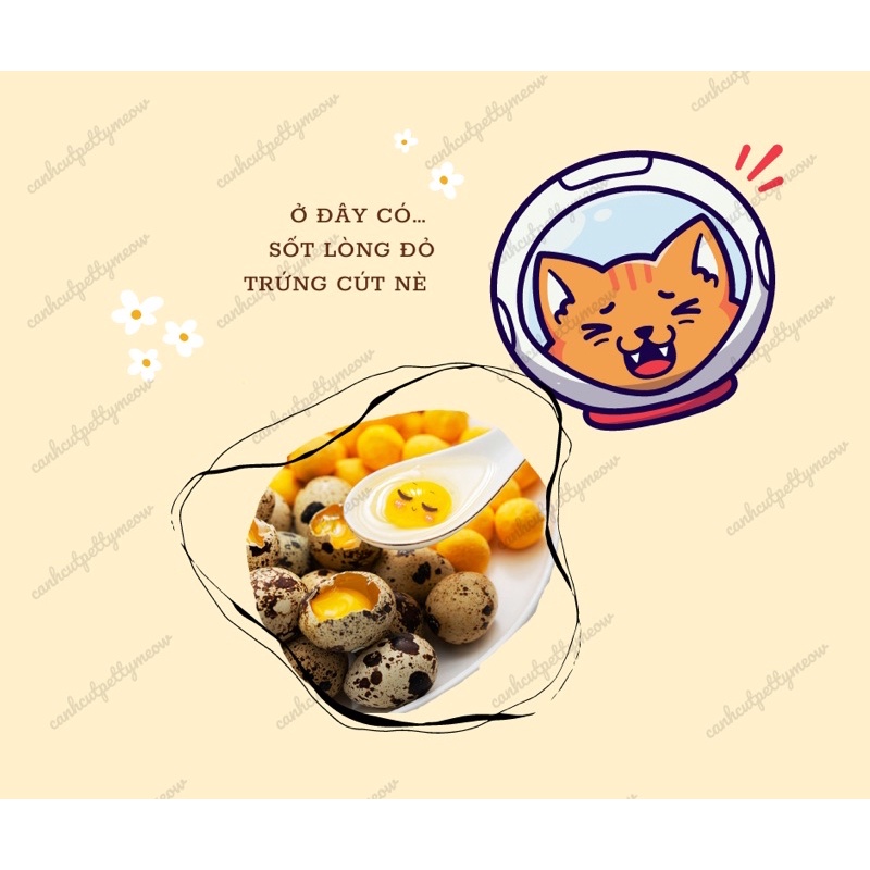 SỐT LÒNG ĐỎ TRỨNG CÚT MONBAB - DÀNH CHO MÈO KÉN ĂN, MỚI BỆNH DẬY