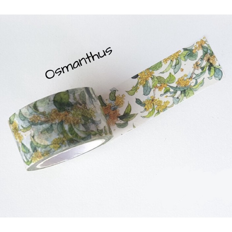 (Chiết theo chu kỳ) 10 mẫu băng dính washi tape hoạ tiết phong cảnh hoa lá nhà S.annuus #1