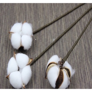 Hoa Bông gòn cành ghép - hoa khô tự nhiên - trang trí nhà cửa