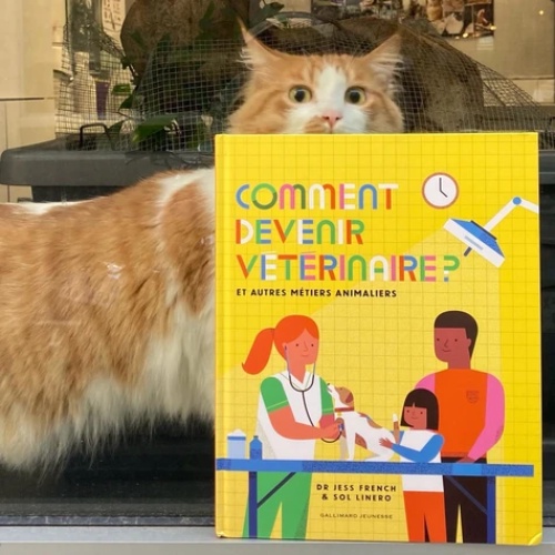Sách đọc thiếu nhi tiếng Pháp: Comment devenir vétérinaire ? Chủ đề nghề nghiệp