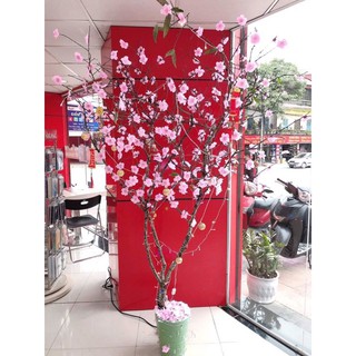 500g bông đào mai rời