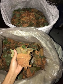 Lá tắm Dao đỏ sau sinh (dạng túi lọc)
