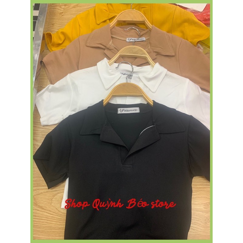 [ GIÁ HUỶ  DIỆT ] Áo Croptop Cổ Bẻ Nữ- Áo thun croptop polo basic tay ngắn có cổ trơn dáng ôm Ulzzang