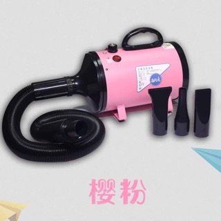 Phụ kiện giá sốc: máy sấy lông chó mèo công suất cao