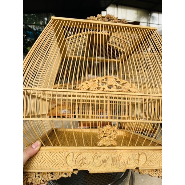 Lông chim chào mào