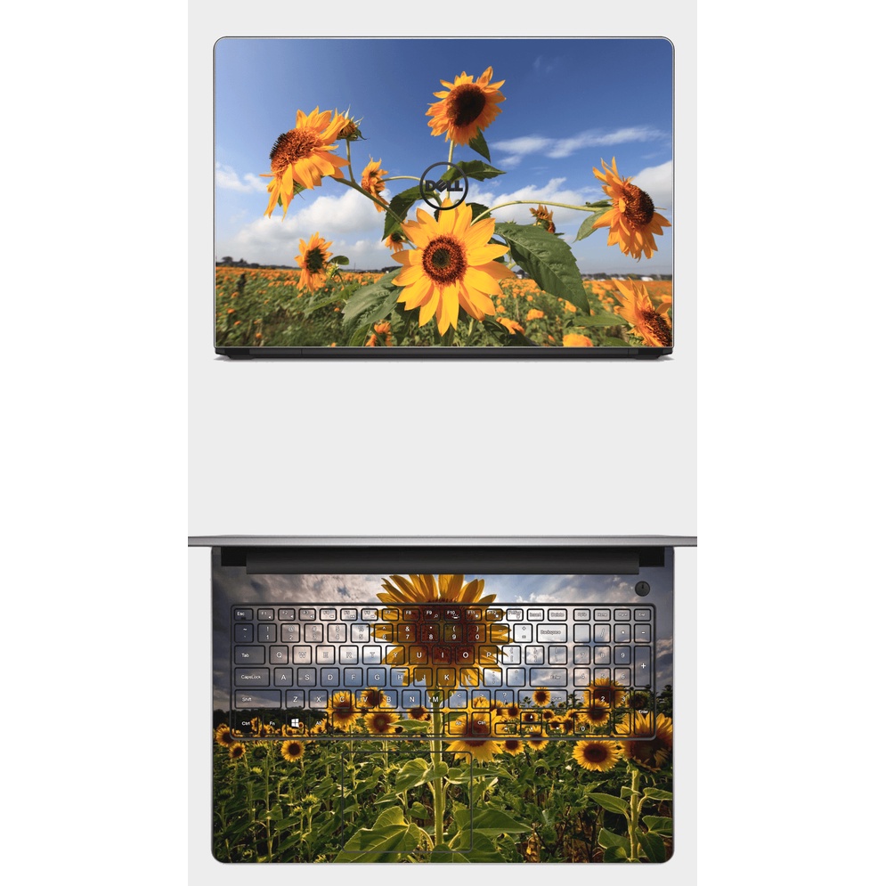 [SKIN HELIANTHUS ANNUUS] SKIN dán Laptop in hình hoa hướng dương. Full các loại máy: Asus, Dell,... In hình theo yêu cầu