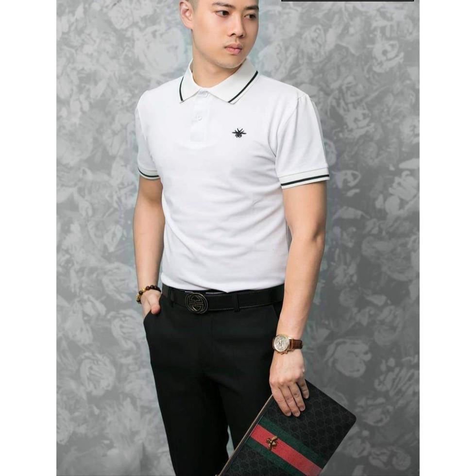 Áo phông nam trơn cổ bẻ tay ngắn cao cấp chất liệu cotton , co giãn 4 chiều , mềm mịn thấm hút mồ hôi(ACB) | BigBuy360 - bigbuy360.vn