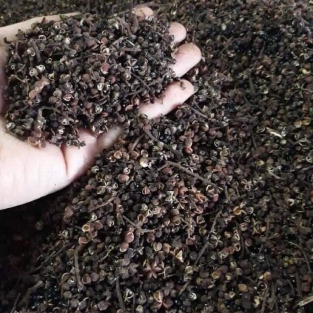 Hạt mắc khén khô 100gr