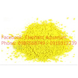 Tetra Nhật cho cá cảnh
