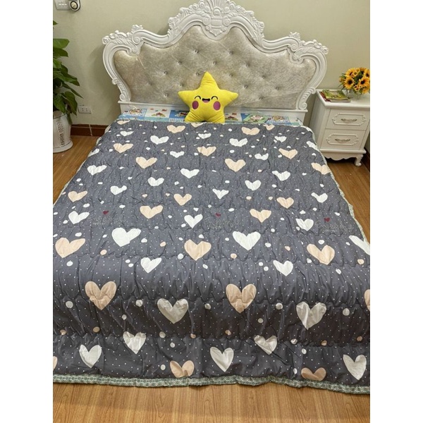 Chăn thu hè/ vỏ chăn đông cotton 100%