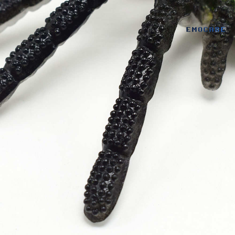 Mô Hình Côn Trùng Bằng PVC Mềm Sống Động Như Thật