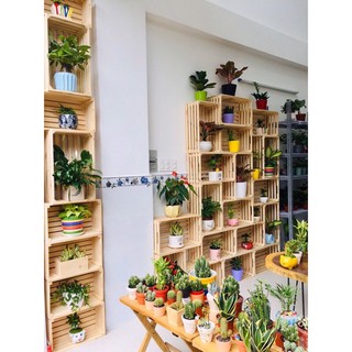 Kệ thùng gỗ thông pallet đa năng