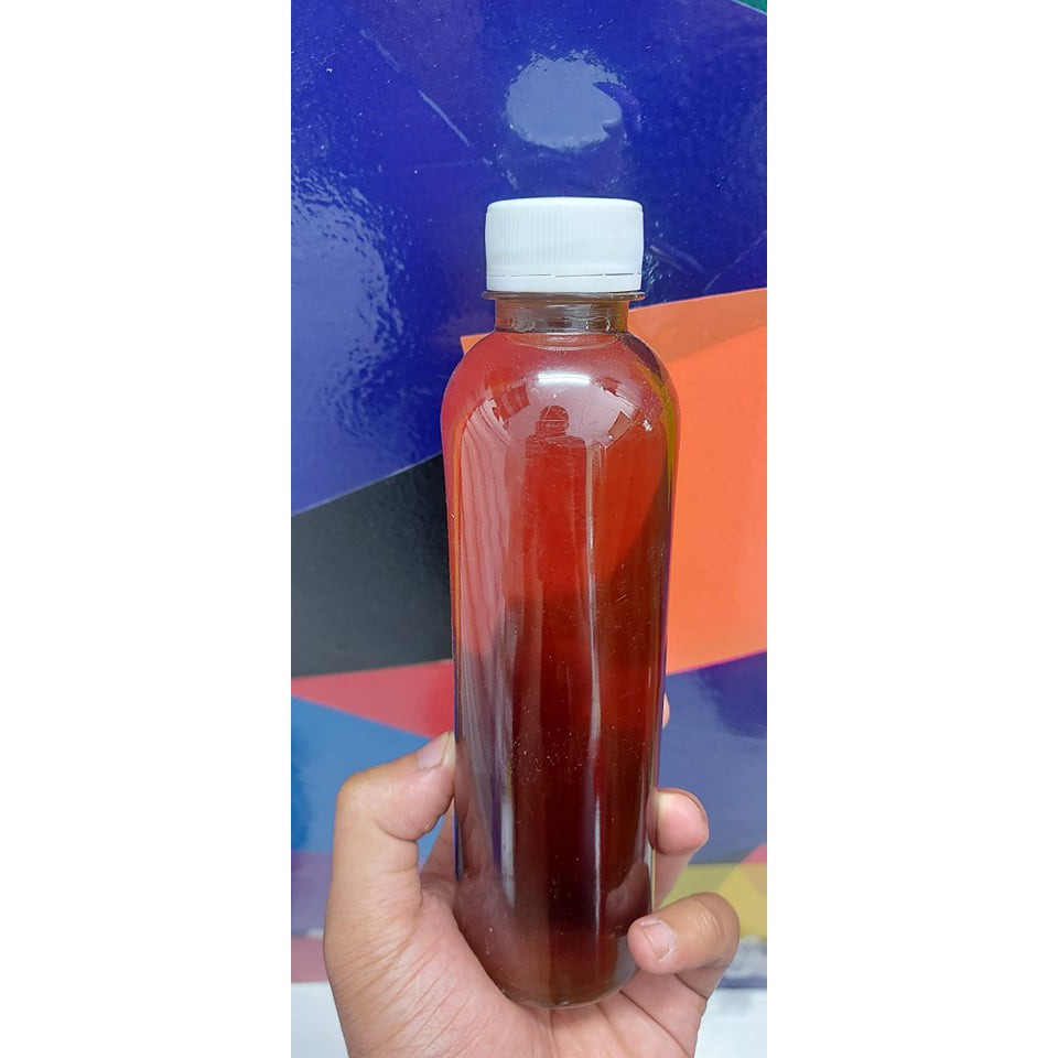Nước cốt lá bàng nguyên chất - Dược phẩm dành cho cá cảnh