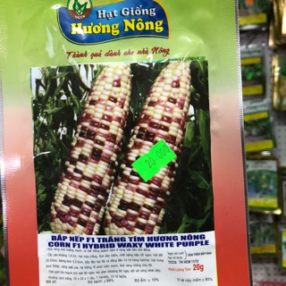 Hạt giống Bắp nếp F1 trắng tím Hương Nông