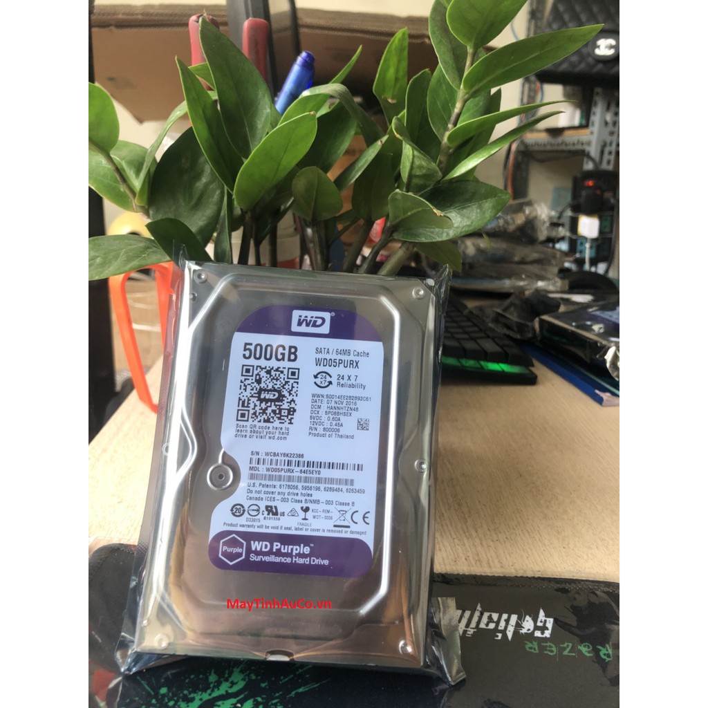 Ổ cứng HDD 500G Western Purple ( Tím ) , Chuyên dùng cho camera , lưu trữ dữ liệu , lắp máy tính để bàn