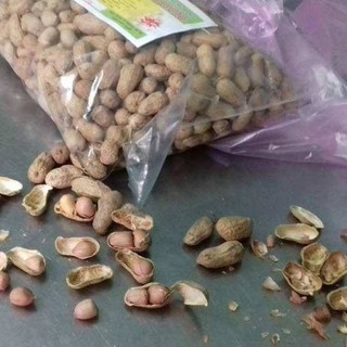 Đậu Phộng Rang Nguyên Vỏ đặc sản tây ninh 500g