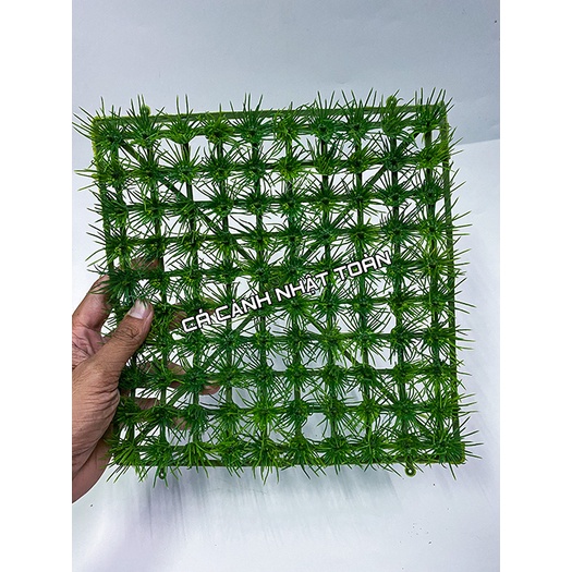 THẢM CỎ NHỰA KIM TRANG TRÍ HỒ CÁ 25X25CM