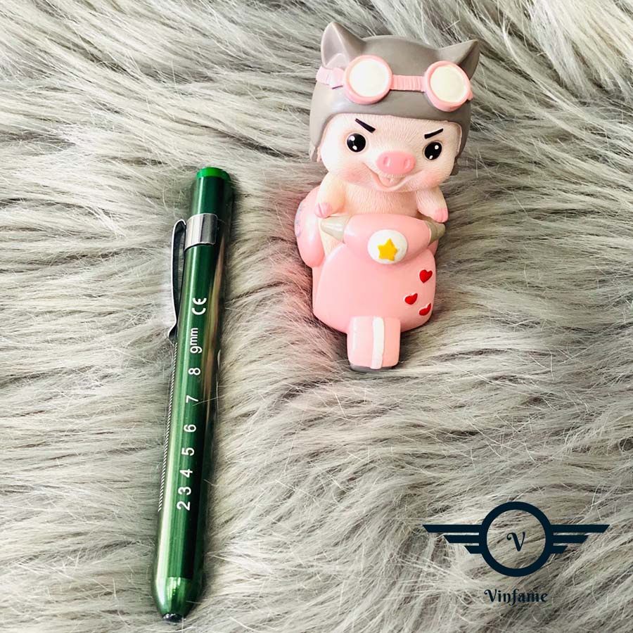 Đèn soi tai, mũi, họng, đèn pin mini , ánh sáng trắng, chất liệu thép không gỉ
