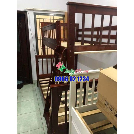 Giường tầng gỗ thông BF118  Nhiều màu kèm hộc kéo