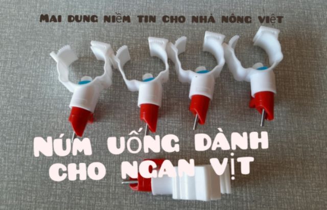 Núm uống cho vịt , ngan