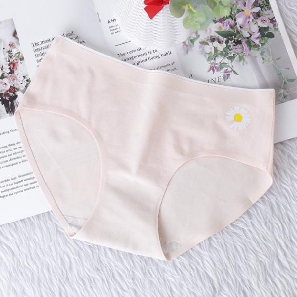 Quần Lót Cotton Ép Không Viền Hoa Cúc Hotrend 287