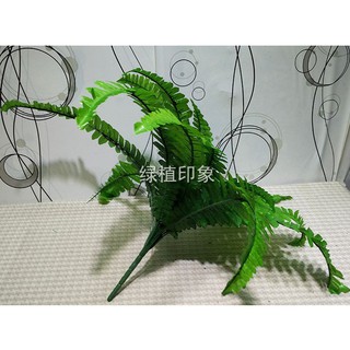 Cây Lá Giả Chùm Dương Sỉ Tán Rộng Cao 50cm 18 Lá