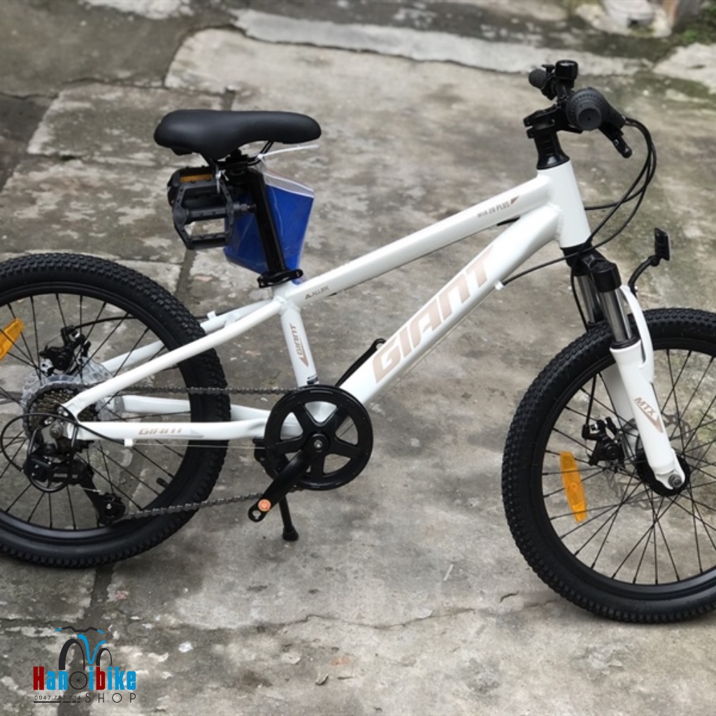 Xe đạp thể thao trẻ em Giant MTX20 bánh 20 inchs