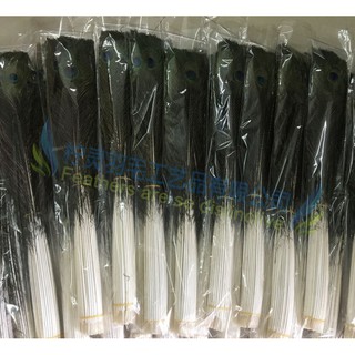 Combo 100 Lông Công Mắt To Phong Thủy Giá Sỉ
