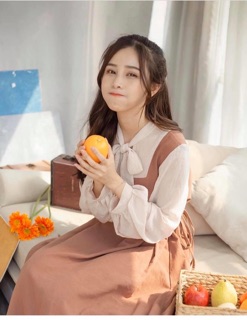 ĐẦM NÂU NƠ CỔ VINTAGE
