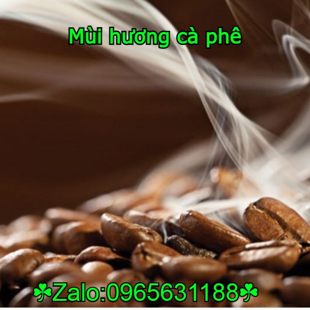 Chai xịt khử mùi xe ô tô hương cafe SANDOKKAEBI ( Hàn Quốc ) 328ml