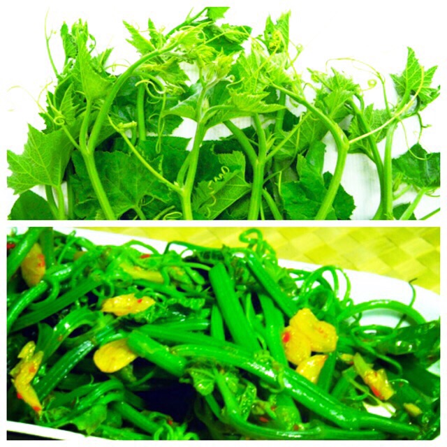 [Siêu Đọt] Hạt giống bí ăn đọt, bí ngòi, bí siêu đọt