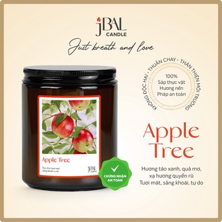 Apple Tree - Nến thơm Hương Táo xanh ngọt mát, Tự do