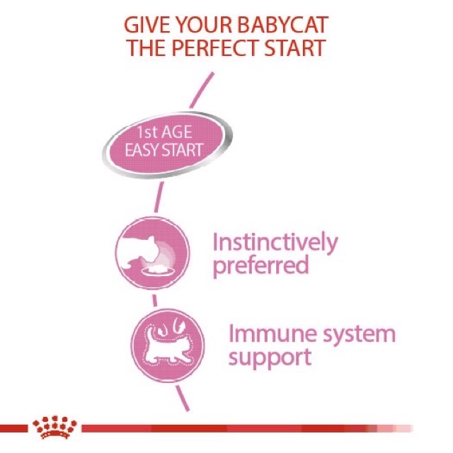 PATE ROYAL CANIN MOTHER & BABYCAT 195G