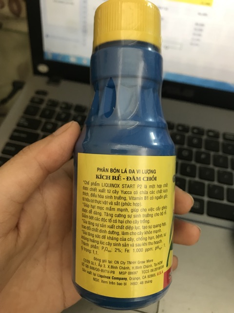Vitamin B1 Dành Cho Cây Kiểng Cung Cấp Dưỡng Chất Cần Thiết.