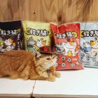 Cát mèo Maneki Neko