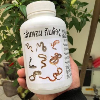 Mồi dụ rắn siêu nhạy