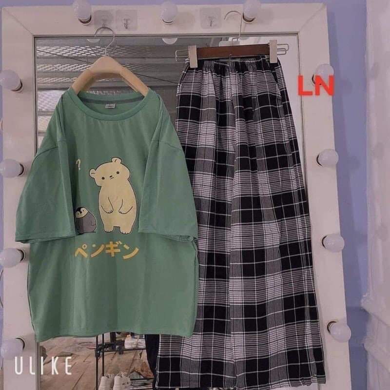 Sét áo gấu và chim cánh cụt + quẩn kẻ TH6