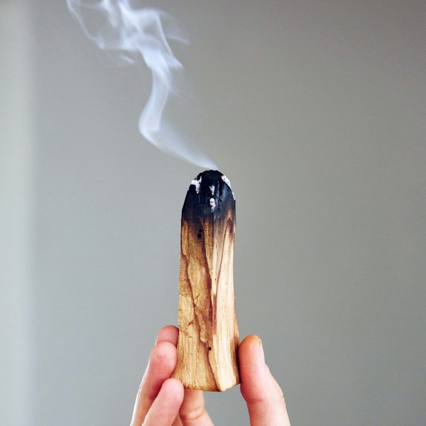 Gỗ Trắc Xanh Palo Santo (Mystic House Tarot Shop)