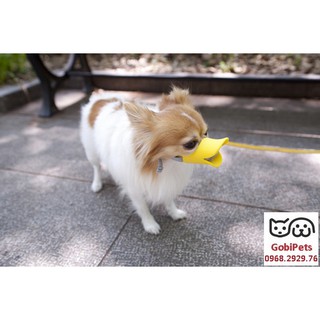 Rọ mõm chó mỏ vịt