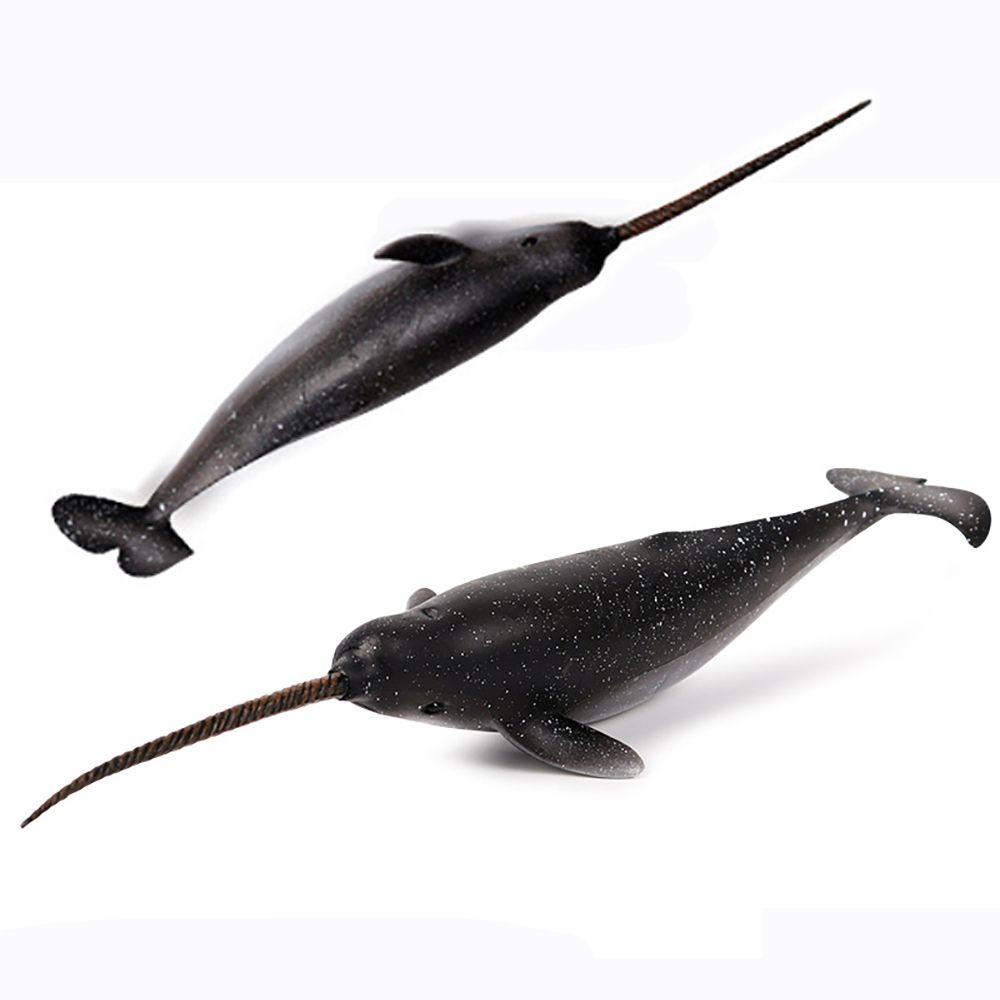 Mô Hình Narwhal Đồ Chơi Giáo Dục Khoa Học Tự Nhiên