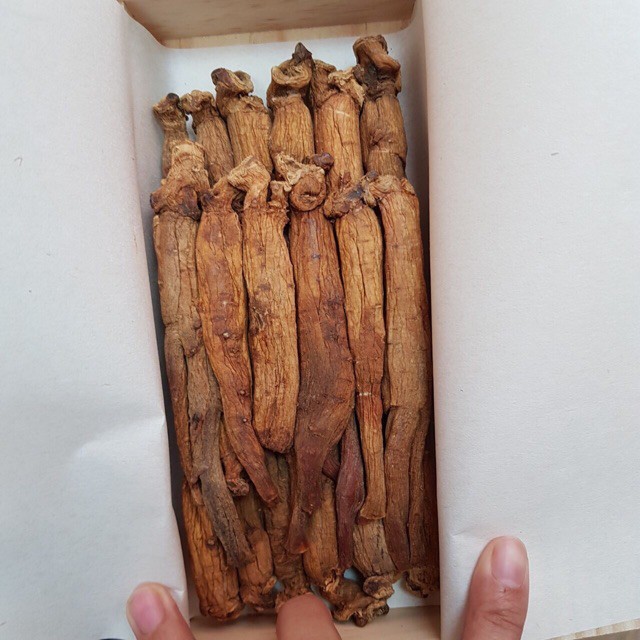 Hồng Sâm Khô Hộp Sắt, Sâm Củ Khô Hộp Thiếc Bio Hàn Quốc | BigBuy360 - bigbuy360.vn