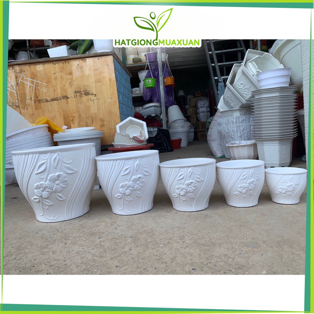 Chậu nhưa Mây để bàn đk 19cm, dk 22cm siêu dày đẹp