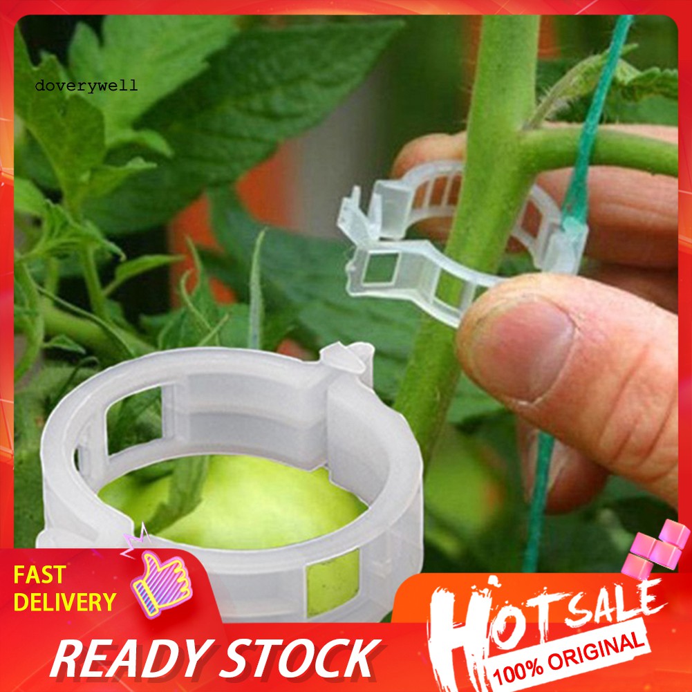 Set 50 / 100 Kẹp Nhựa Trong Suốt Dùng Để Cố Định Dây Leo