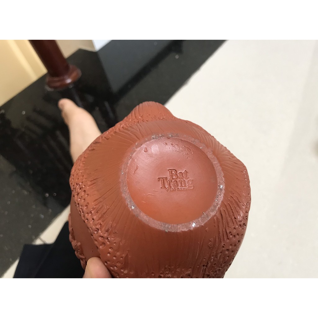 Bộ ấm trà Tử Sa Bát Tràng  đắp nổi GỐC CÂY ĐỎ ⚡DUNG TÍCH 500ML⚡ hoa văn đắp nổi sang trọng đẳng cấp
