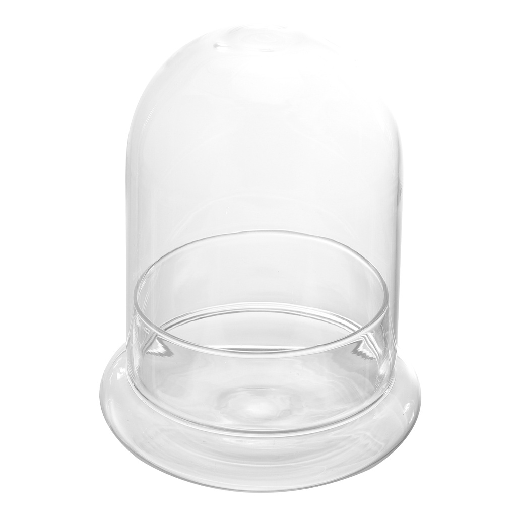 Hộp Kính Trong Suốt Trưng Bày Cloche Bell Dome Trưng Bày Cây Mọng Nước Đèn Thần Tiên