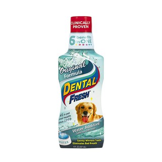Dung dịch giảm hôi miệng Dental Fresh
