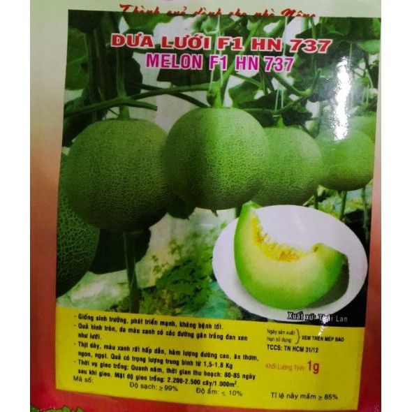 HẠT GIỐNG DƯA LƯỚI F1-737 RUỘT XANH - GÓI 1 GRAM
