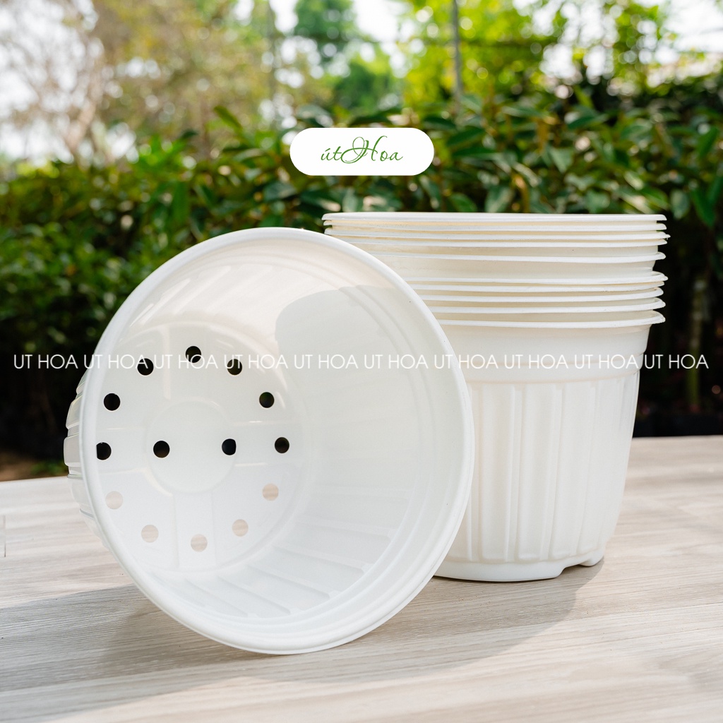 10 cái chậu nhựa trắng trồng cây cỡ lớn T30 (30x21 cm) nhựa chắc bền